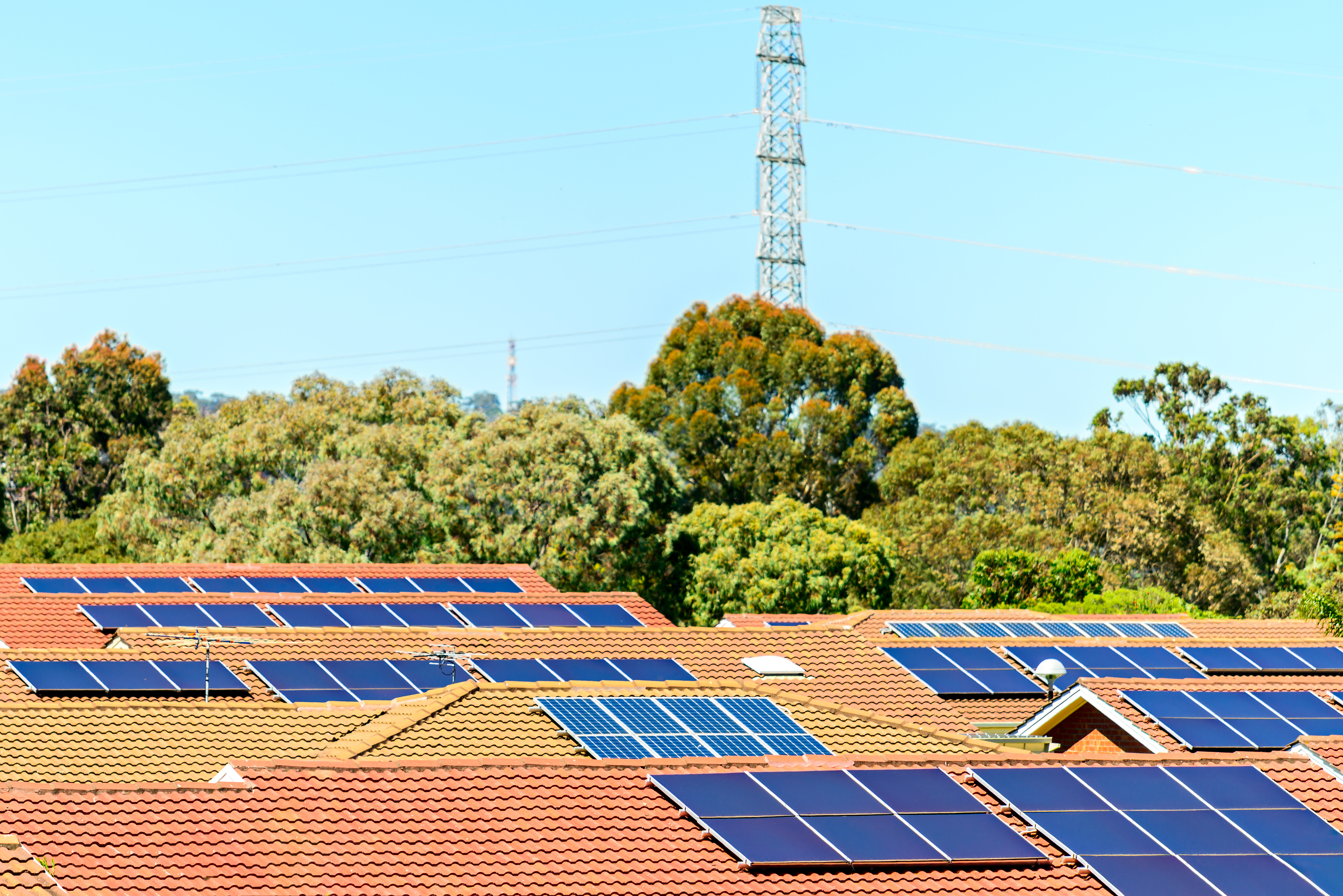Picture depicts terra cotta roofs of houses with blue solar panels installed. Background shows a line of green trees and electricity power lines.