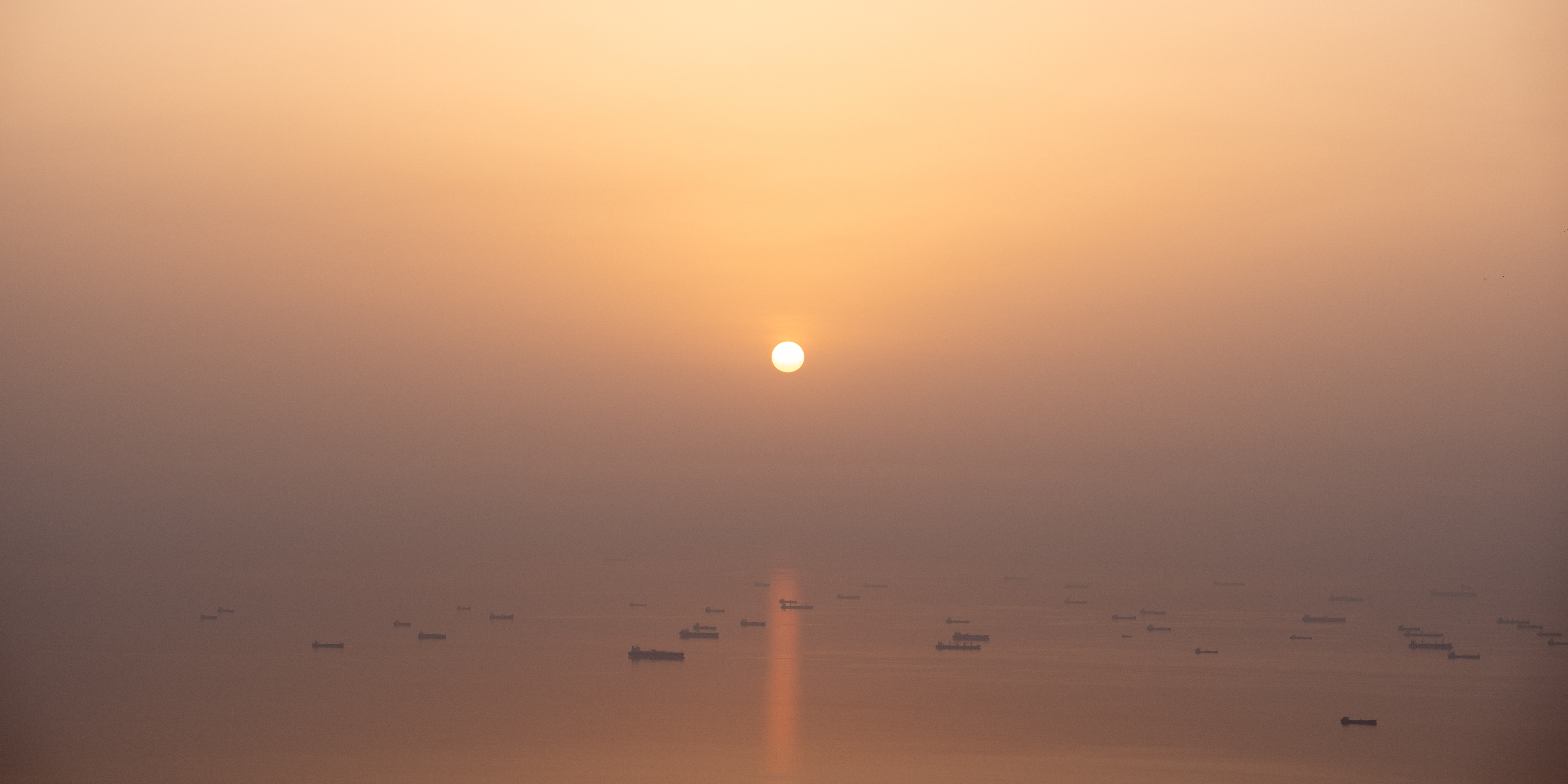 Shutterstock 2773432775