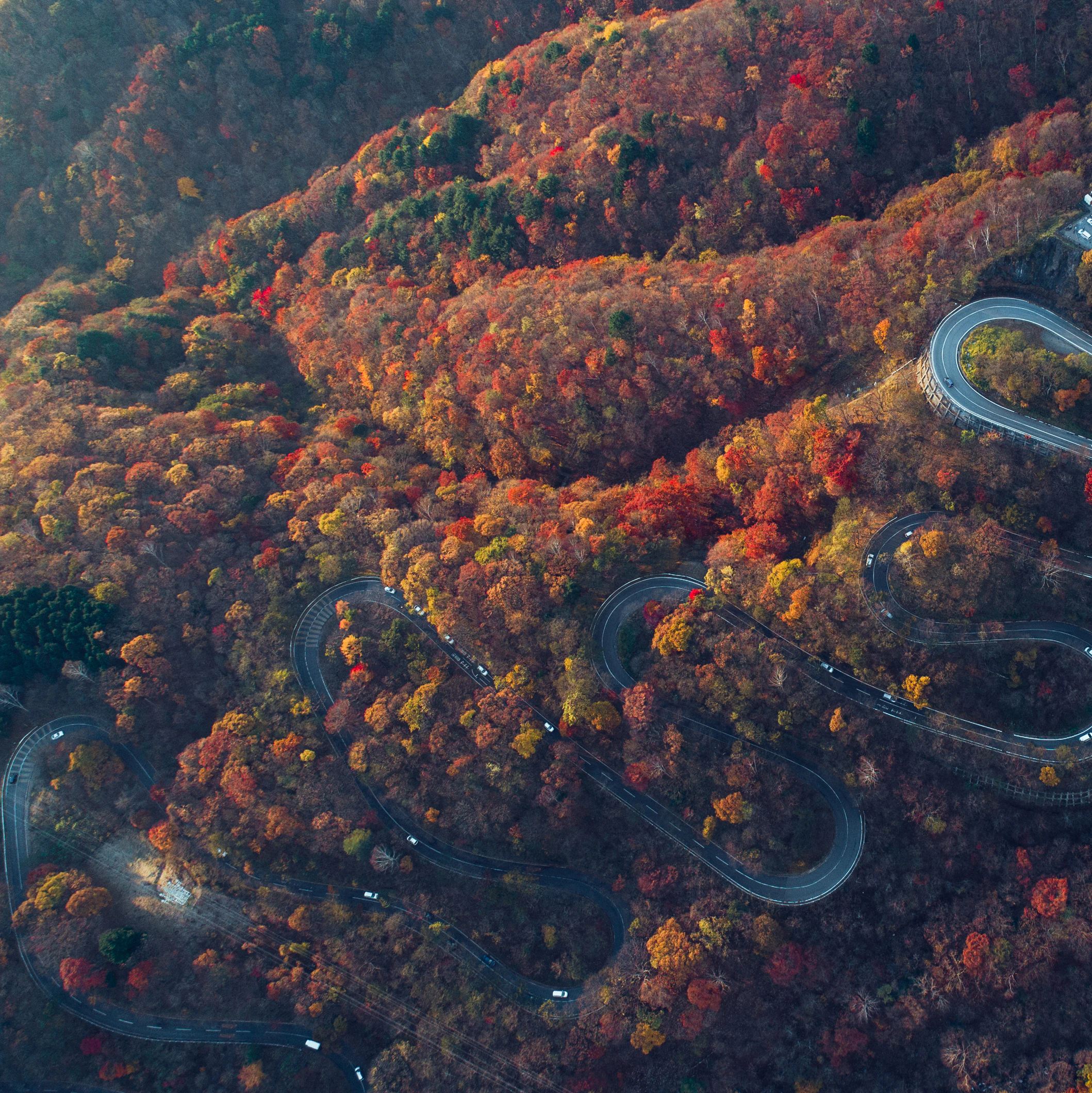 Energy Policies Of Iea Countries Japan 16 Review Analysis Iea