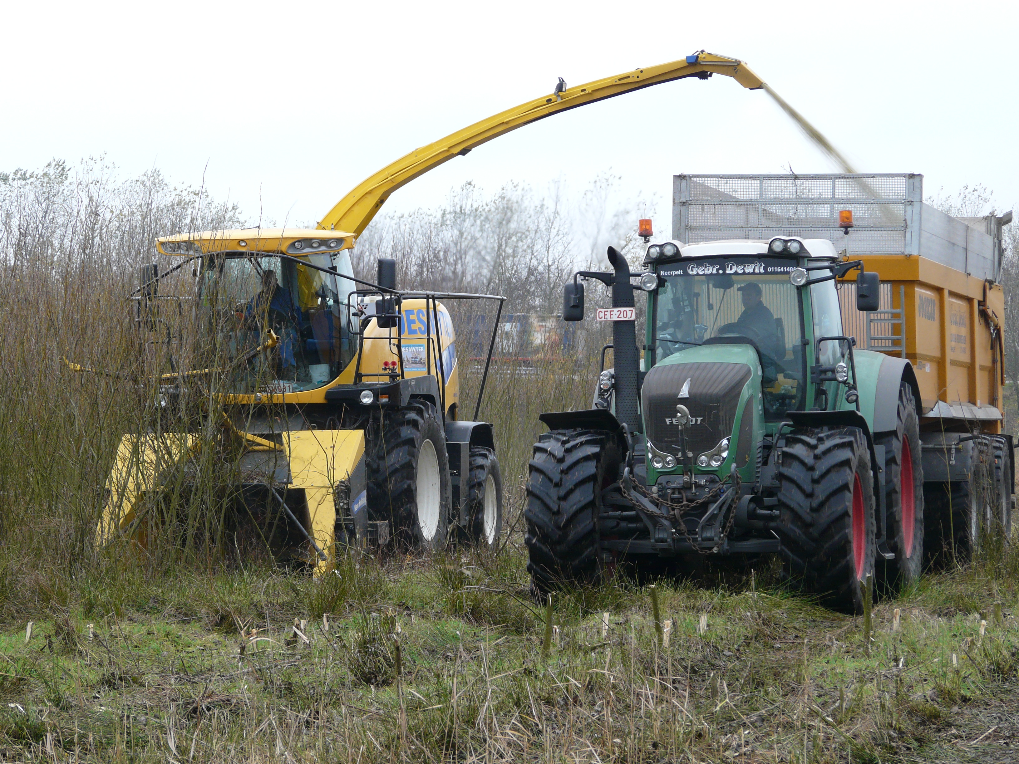 Harvesting Energy Crops On Contaminated Lands
