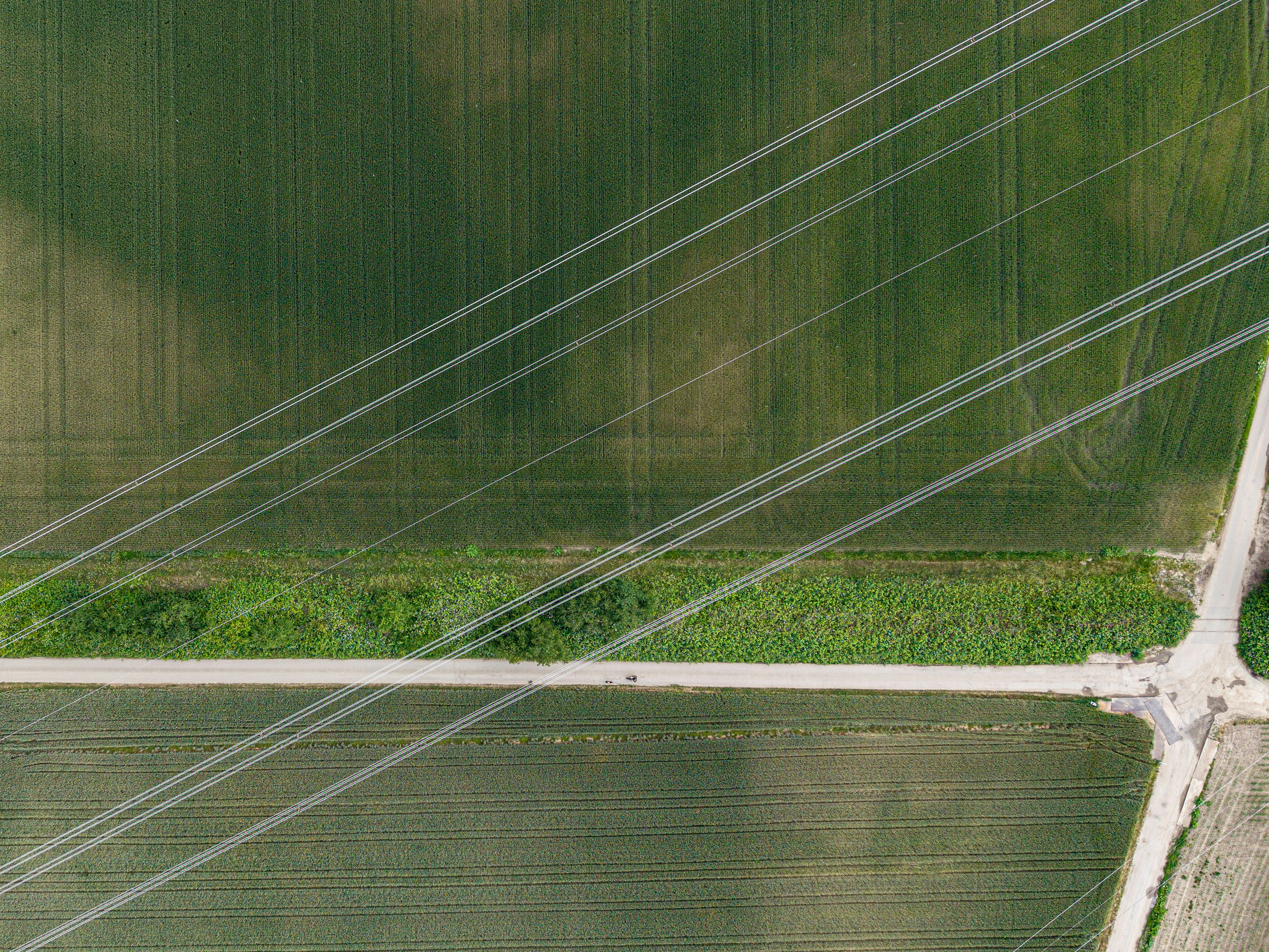 Bernd dittrich Ef8XQcuMjZc unsplash