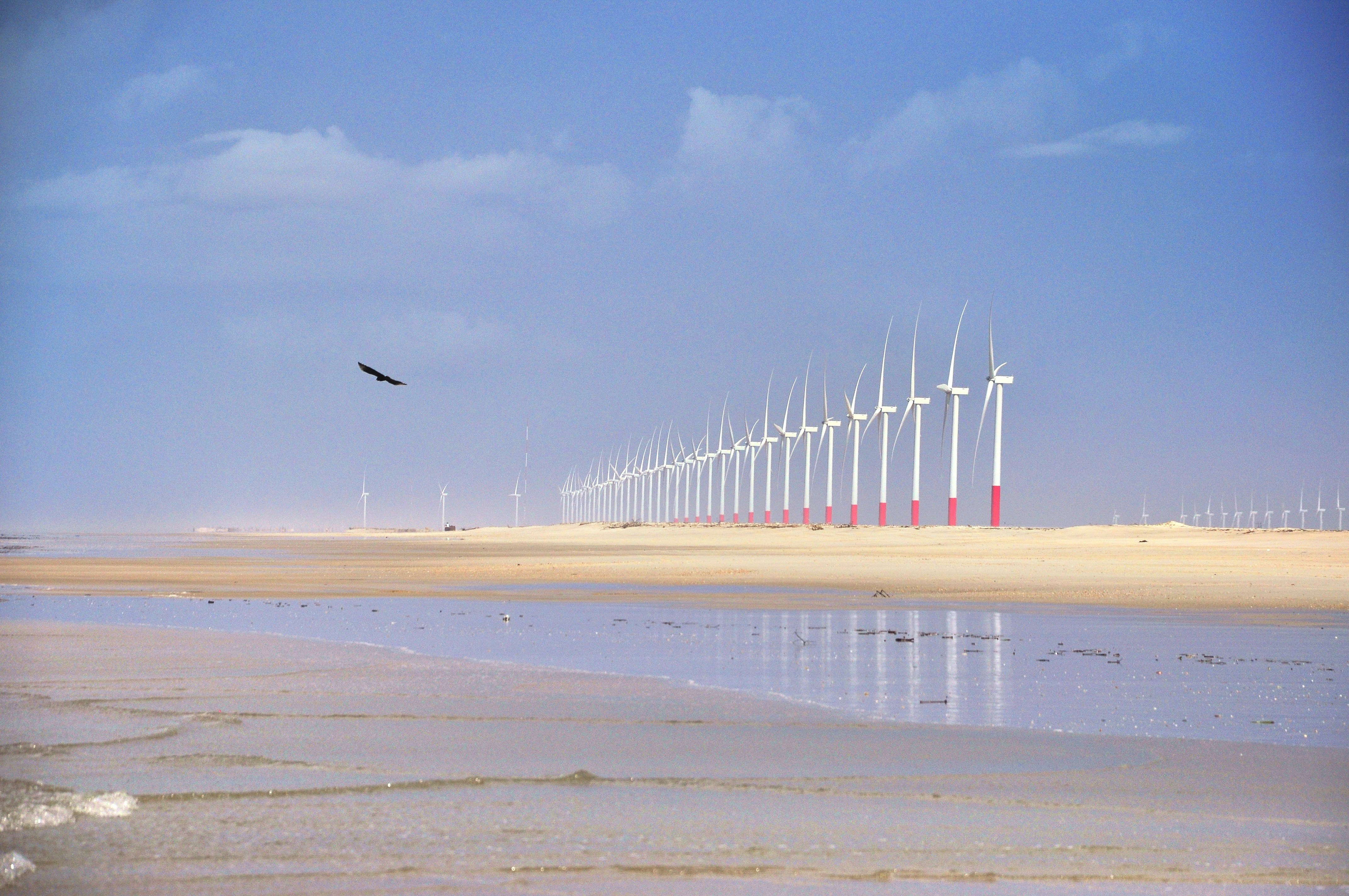 A bird flying over a body of water with windmills in the background
