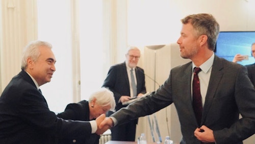 Executive Director Danish Crown Prince shaking hands