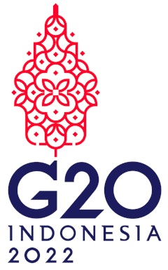 Fin Logo G20 01 - logo