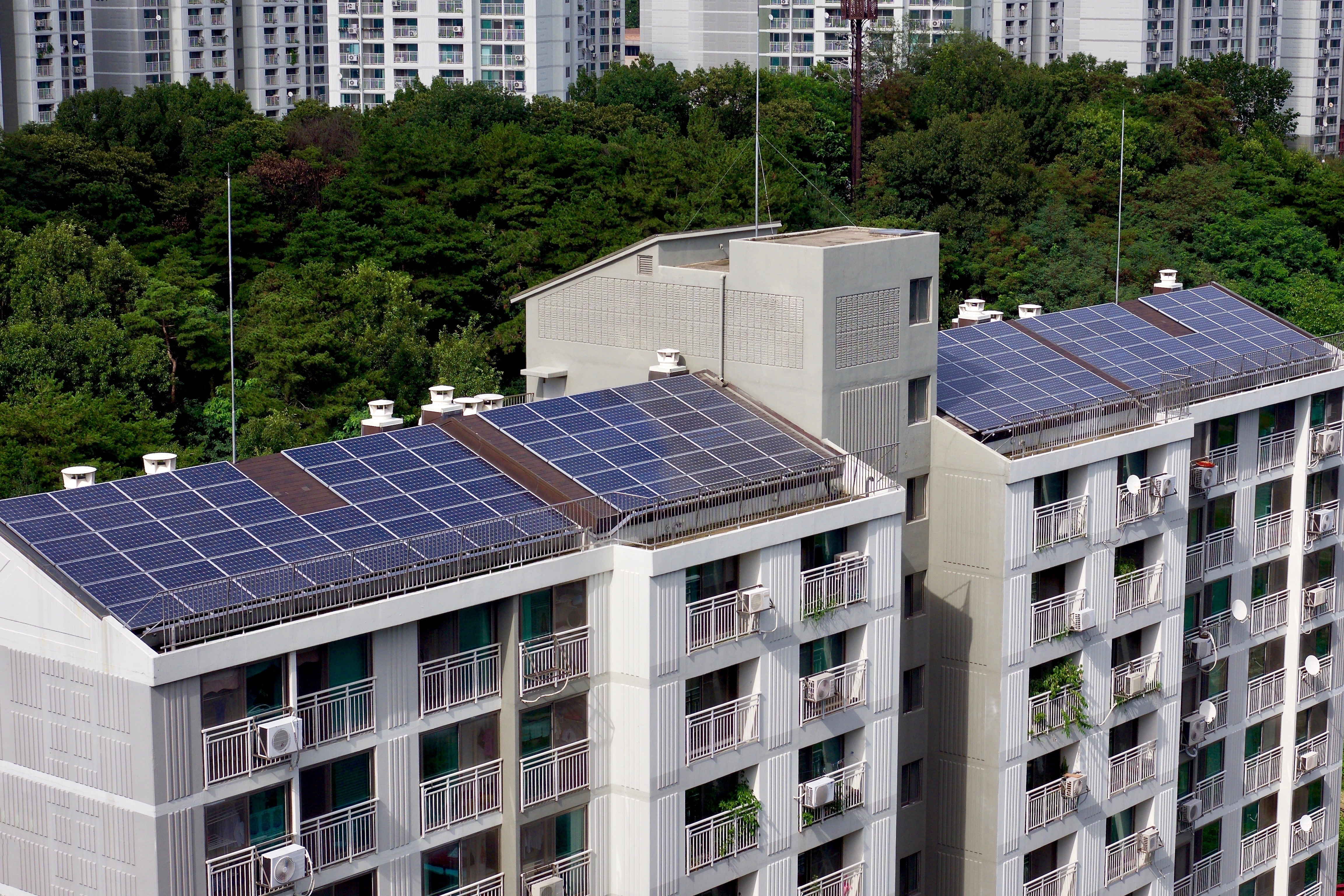 Photo depicts a set of apartment buildings with solar panels on the top, behind is a lines of trees and in the background is more apartment buildings