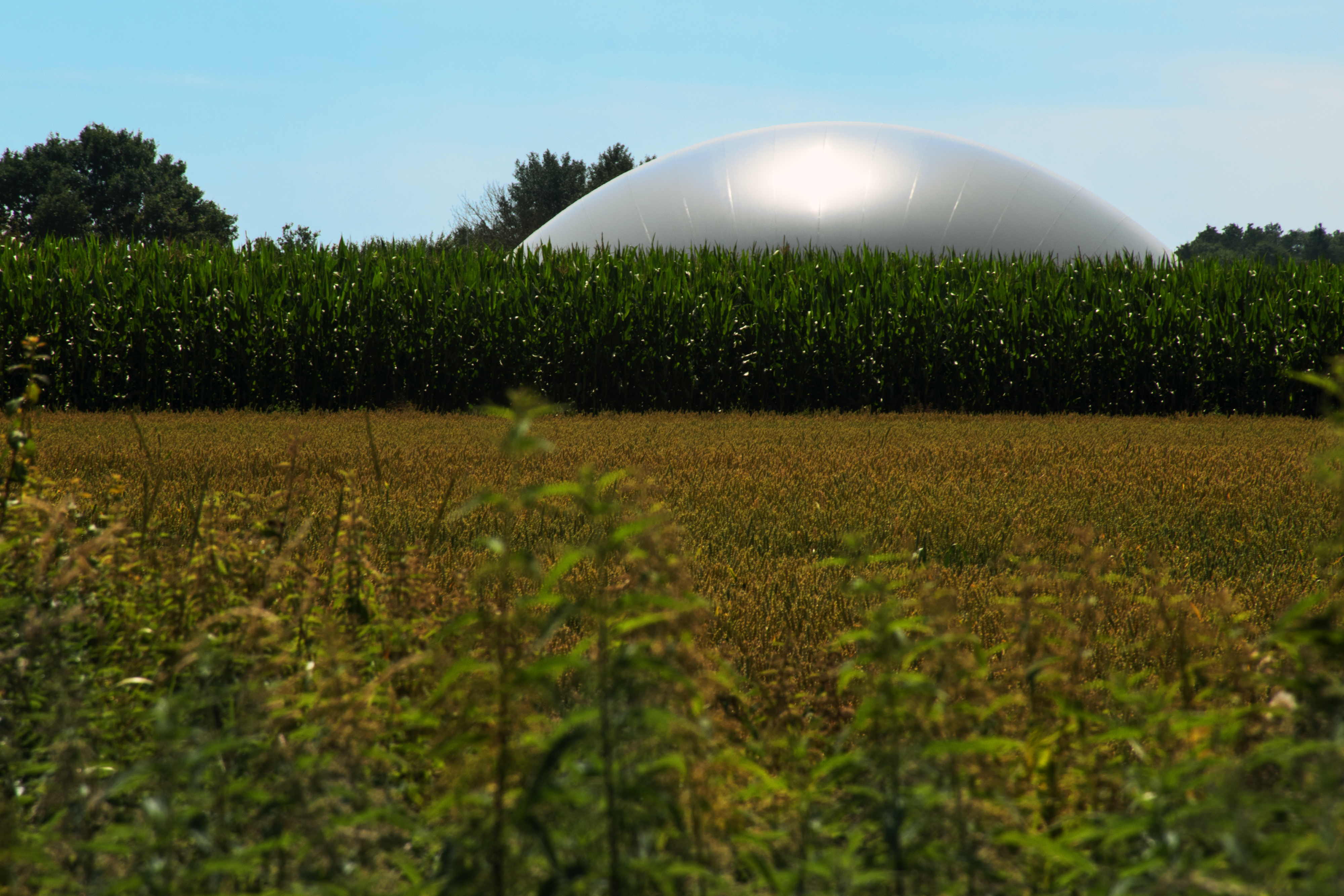 Outlook For Biogas And Biomethane: Prospects For Organic Growth ...