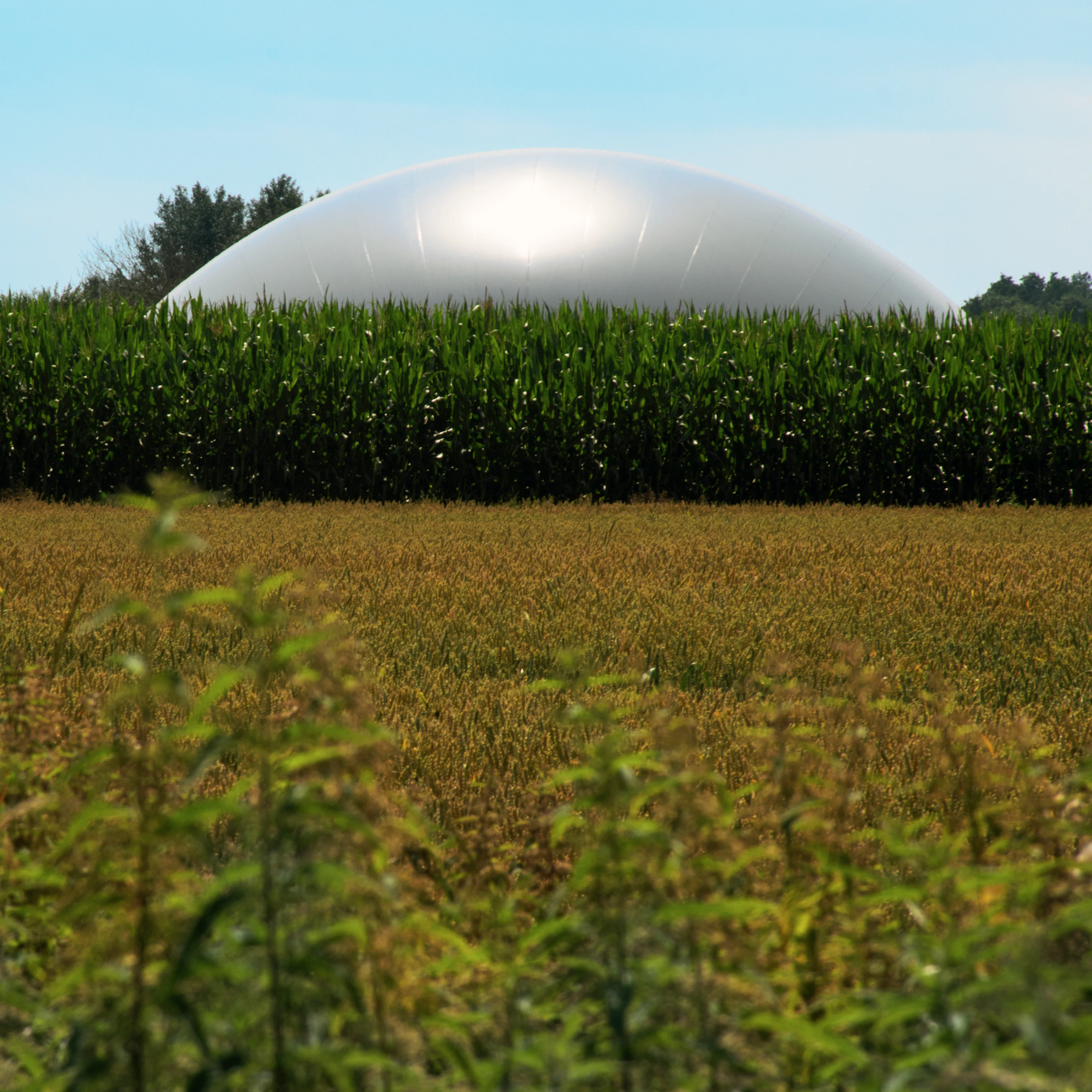 An introduction to biogas and biomethane – Outlook for biogas and biomethane: Prospects for organic growth – Analysis - IEA
