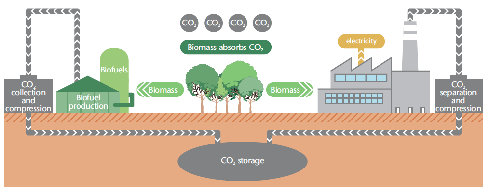 Unlocking The Potential Of Bioenergy With Carbon Capture And ...