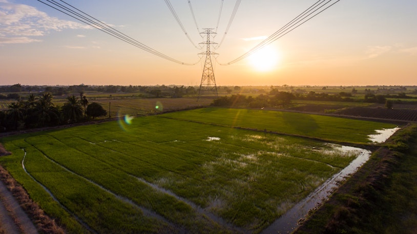 Aerial view of high voltage electricity tower over green rice field at sunset