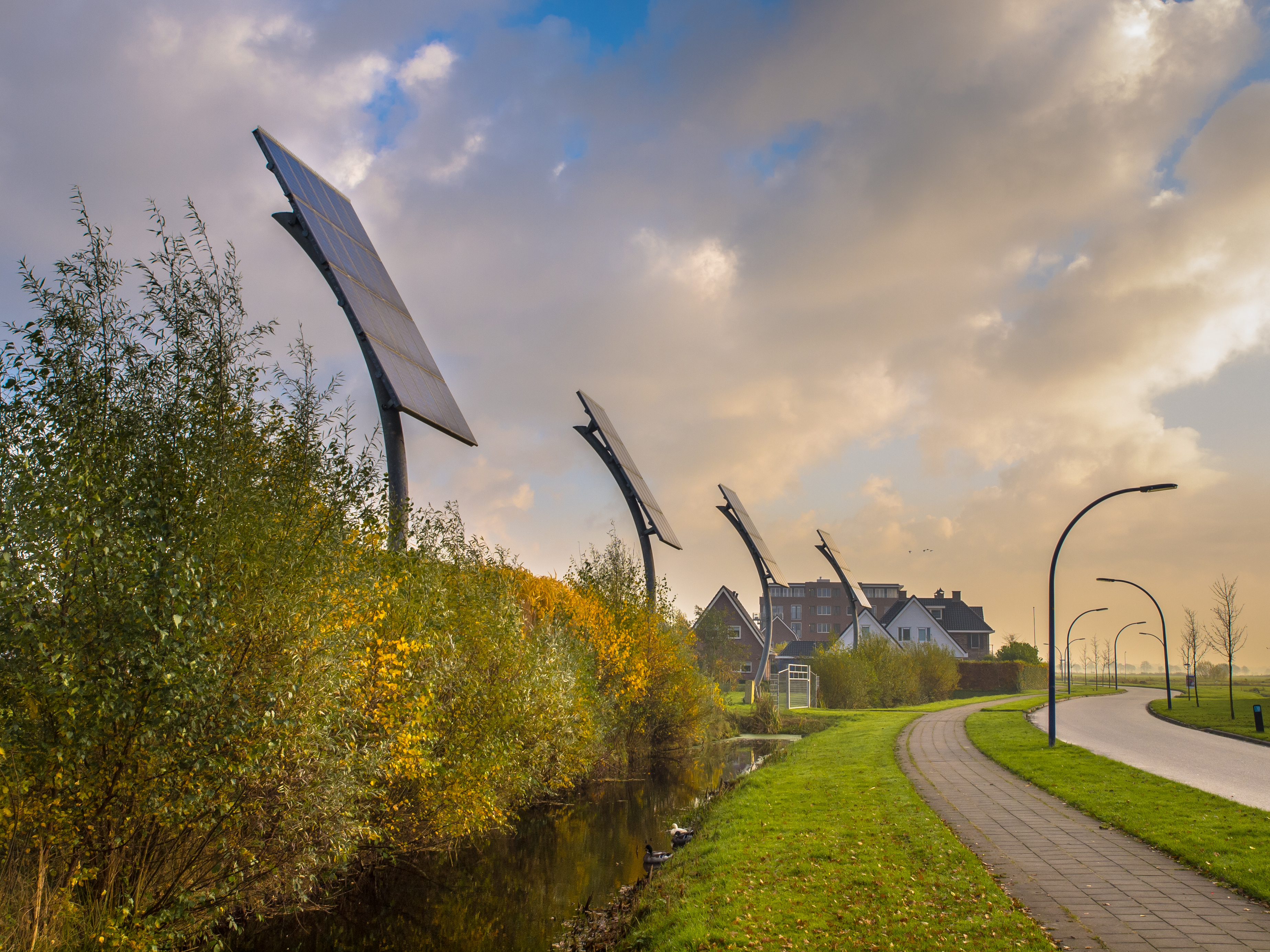 Solar panels alongs street with homes