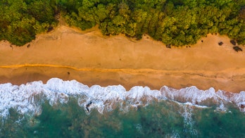 Photo shows an aerial view of a yellow beach with clear blue waves crashing on it the forest is in the backgorund. the photo is in Goa india