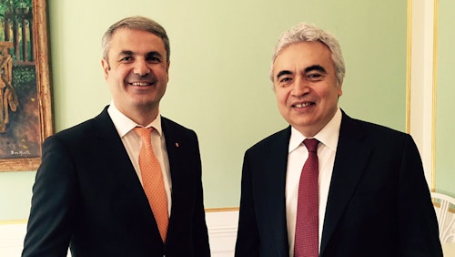 Executive Director Meets Sweden Energy Minister