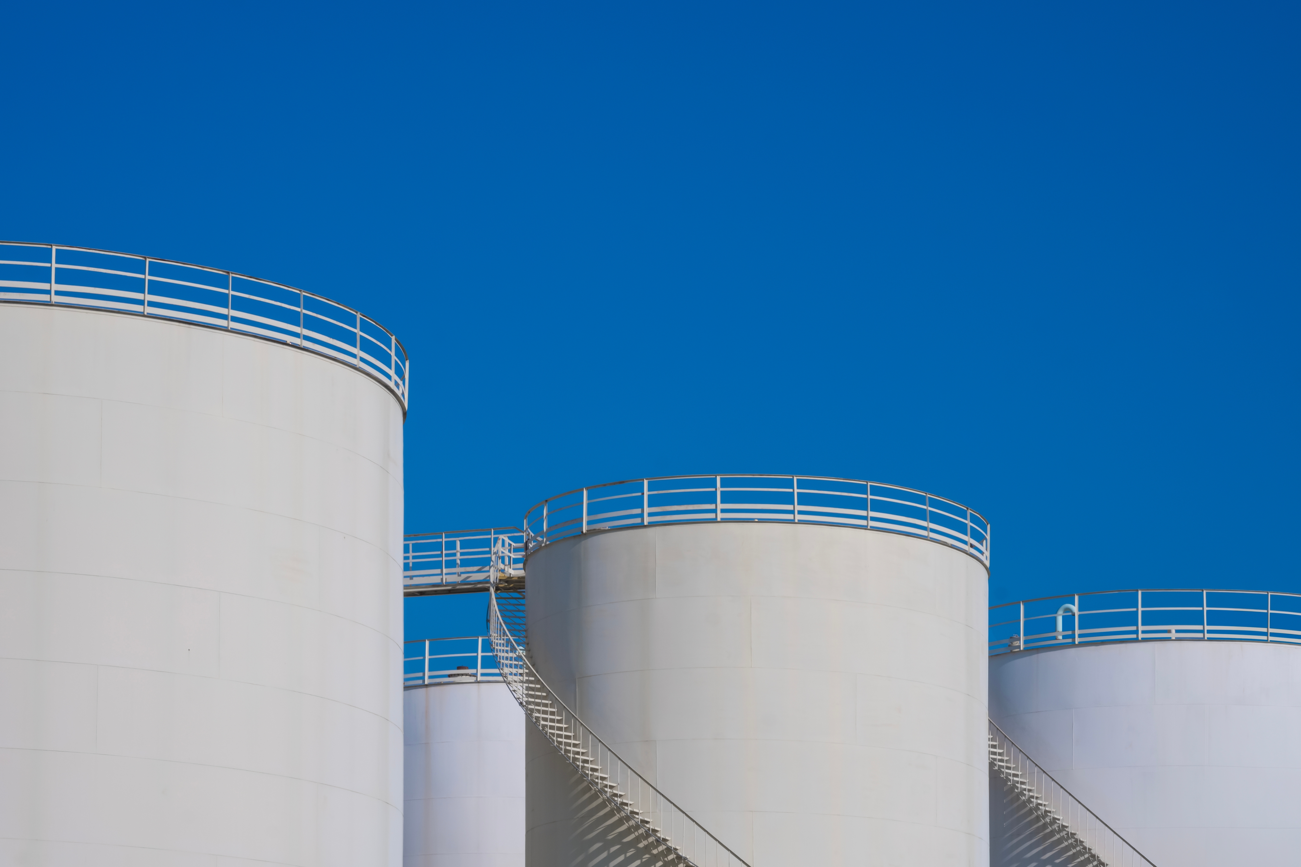 Shutterstock 2553359111