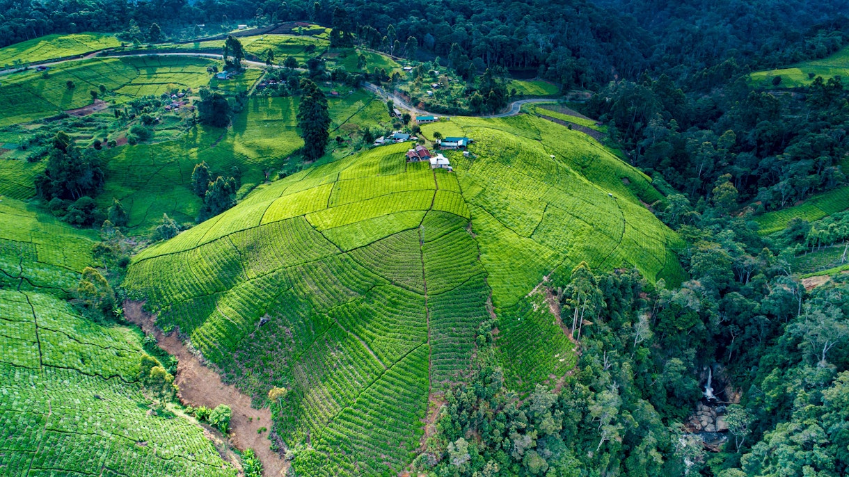 Aerial View Of A Beautiful Mountain Range Landscape Covered With Green Grass In Kenya Gettyimages 1444368757
