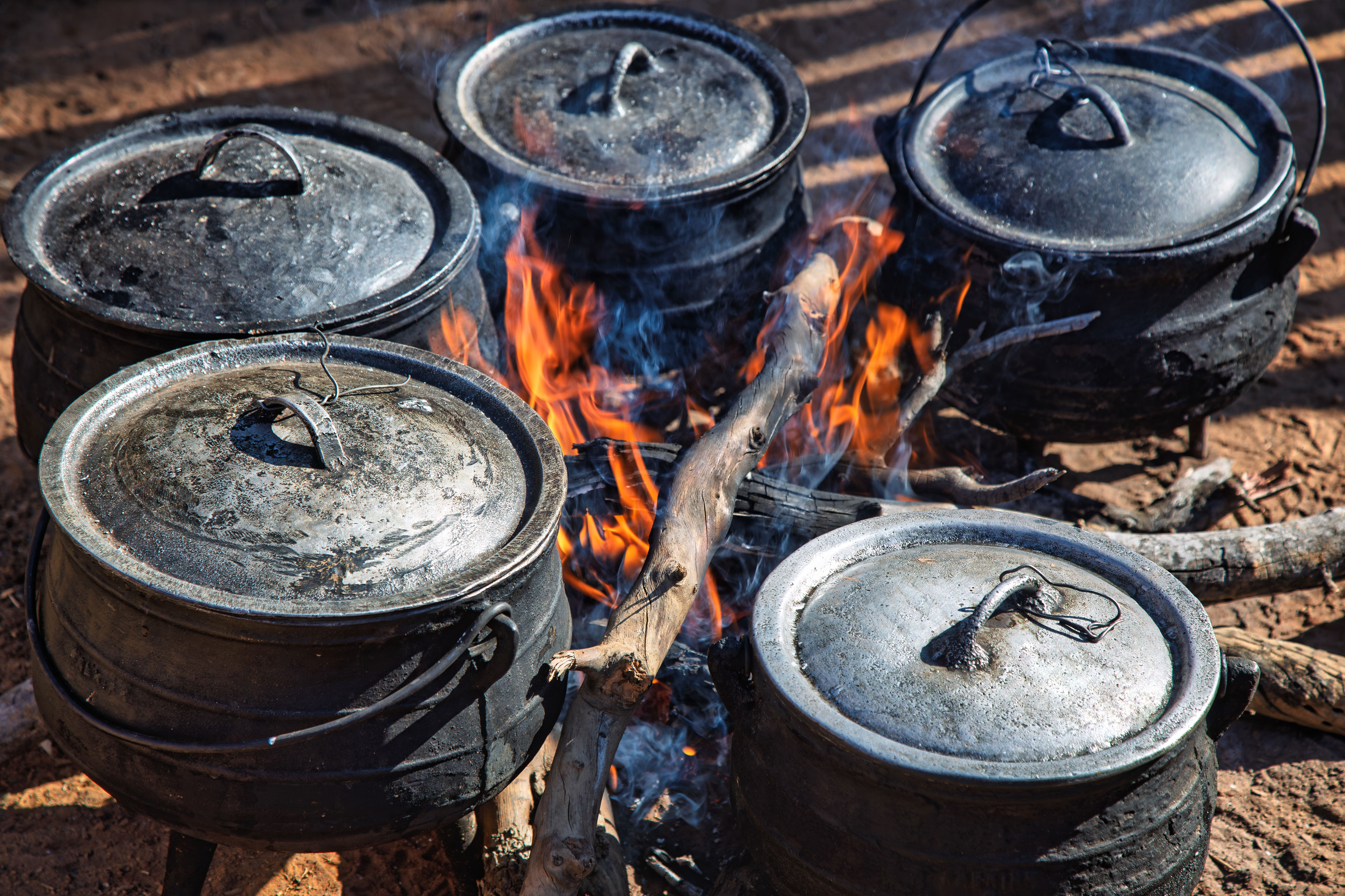 Shutterstock 2604418617