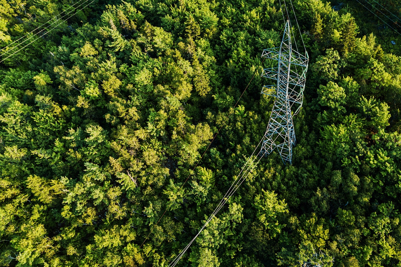 Aerial Drone View Power Pylon in forest