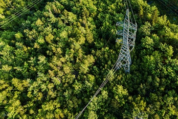 Aerial Drone View Power Pylon in forest