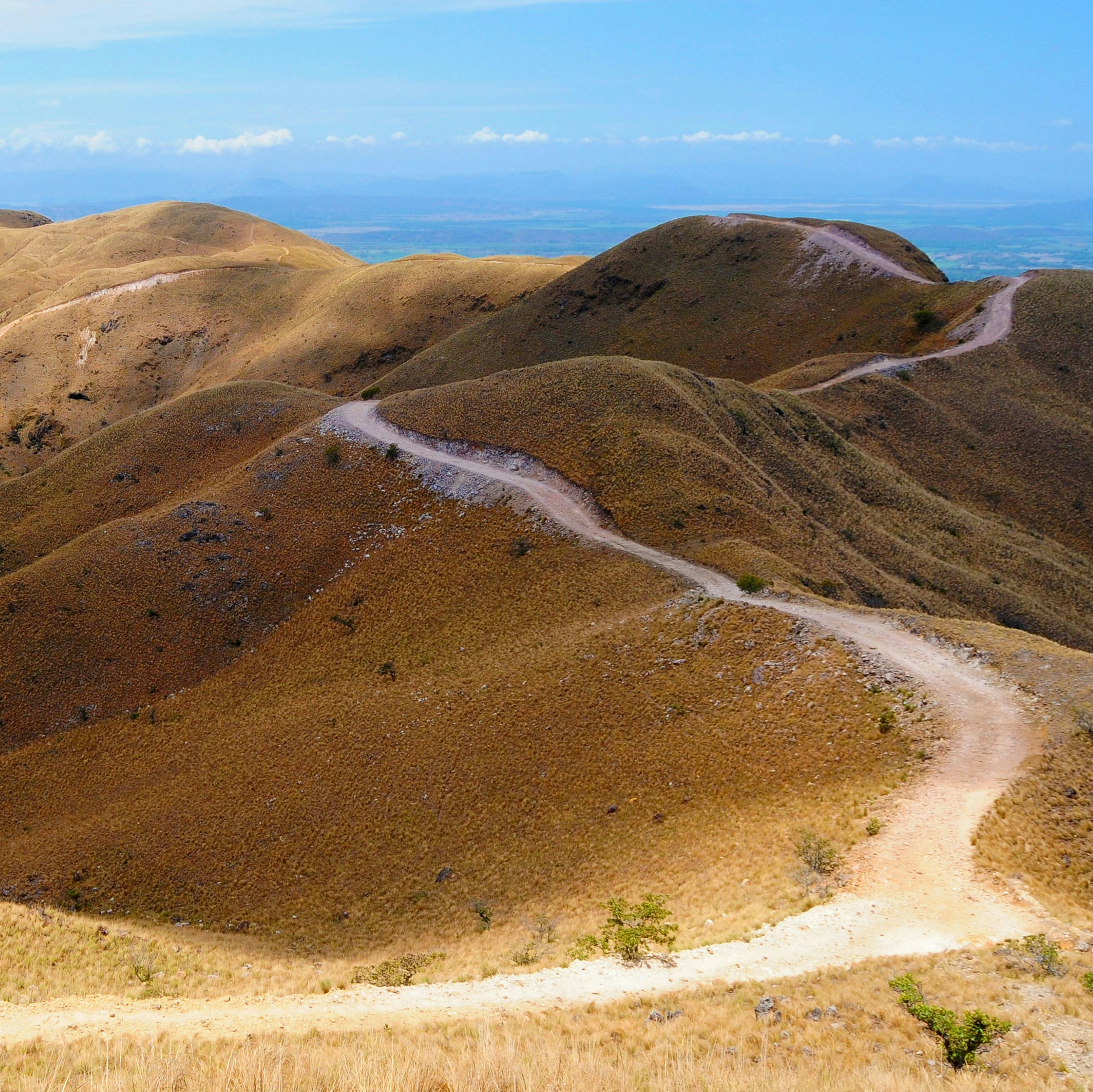 Governments have unleashed a wave of clean energy policies to benefit