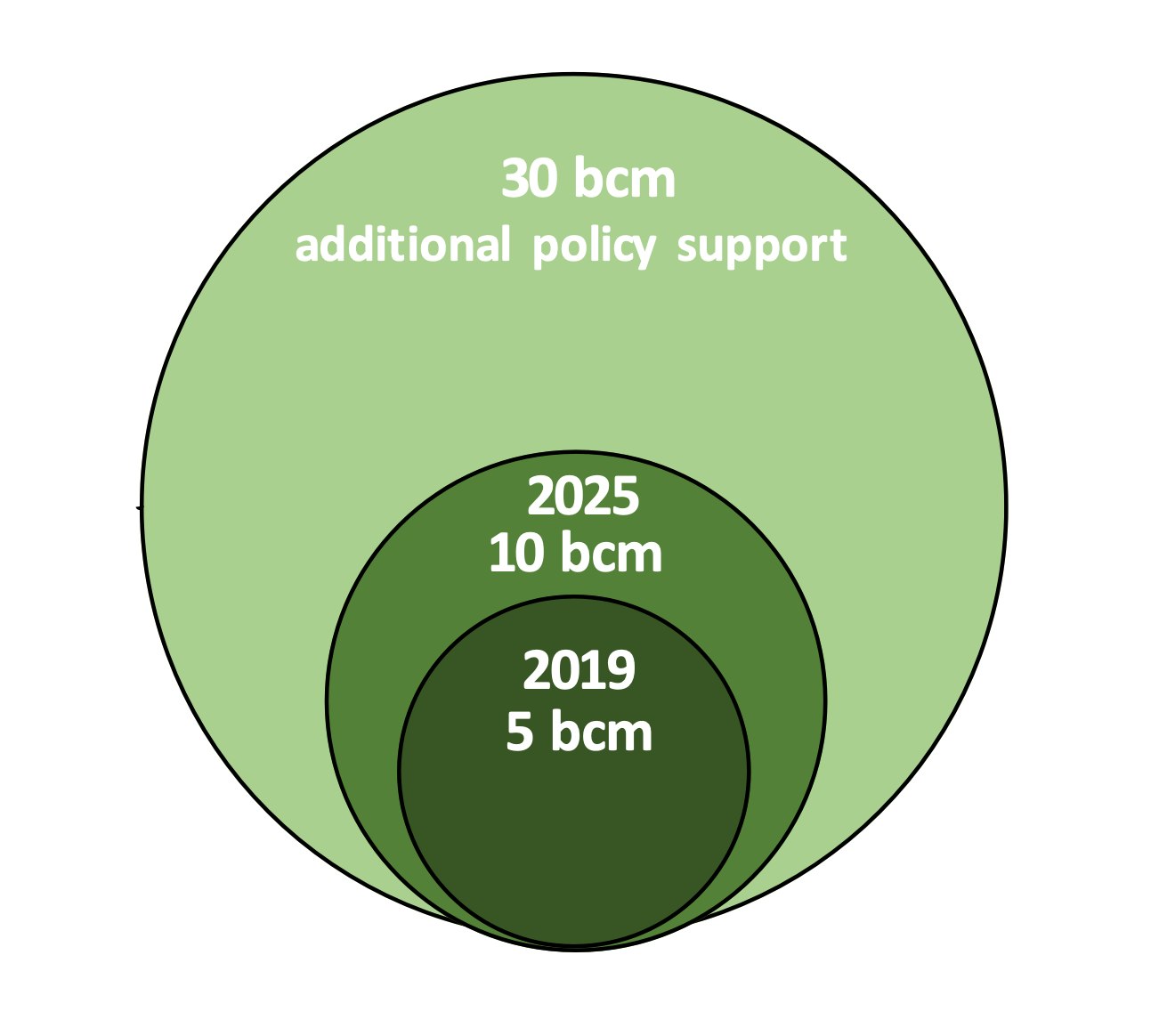 Global biomethane production, 2019-2025