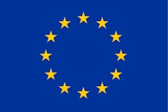 EU Flag - logo