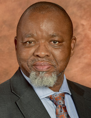 Minister Of Mineral Resources And Energy Gwede Mantashe